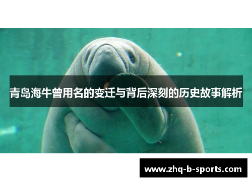 青岛海牛曾用名的变迁与背后深刻的历史故事解析