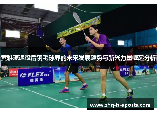 黄雅琼退役后羽毛球界的未来发展趋势与新兴力量崛起分析